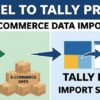 Excel To TallyPrime Ecommerce Data Import Utility